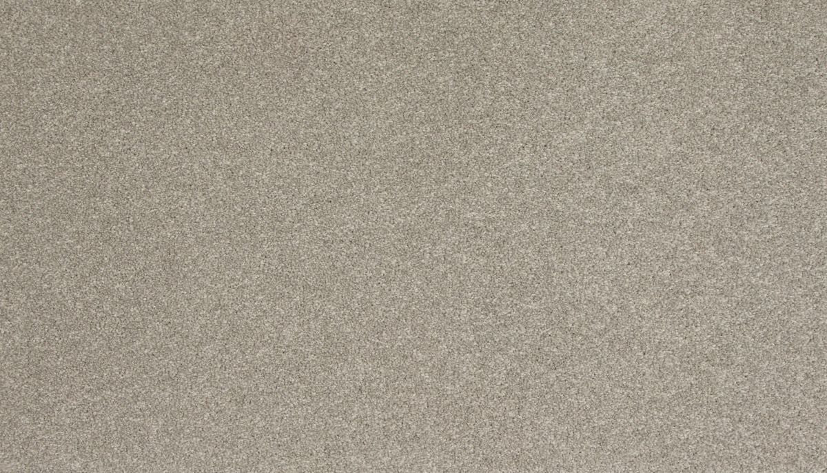 Delightful Saga II carpet in Gentle Fog