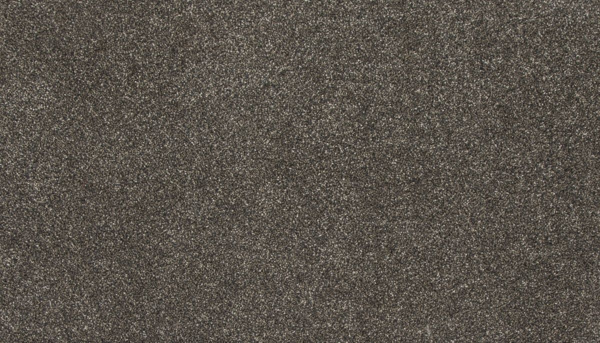 Delightful Saga II carpet in Tranquil Driftwood