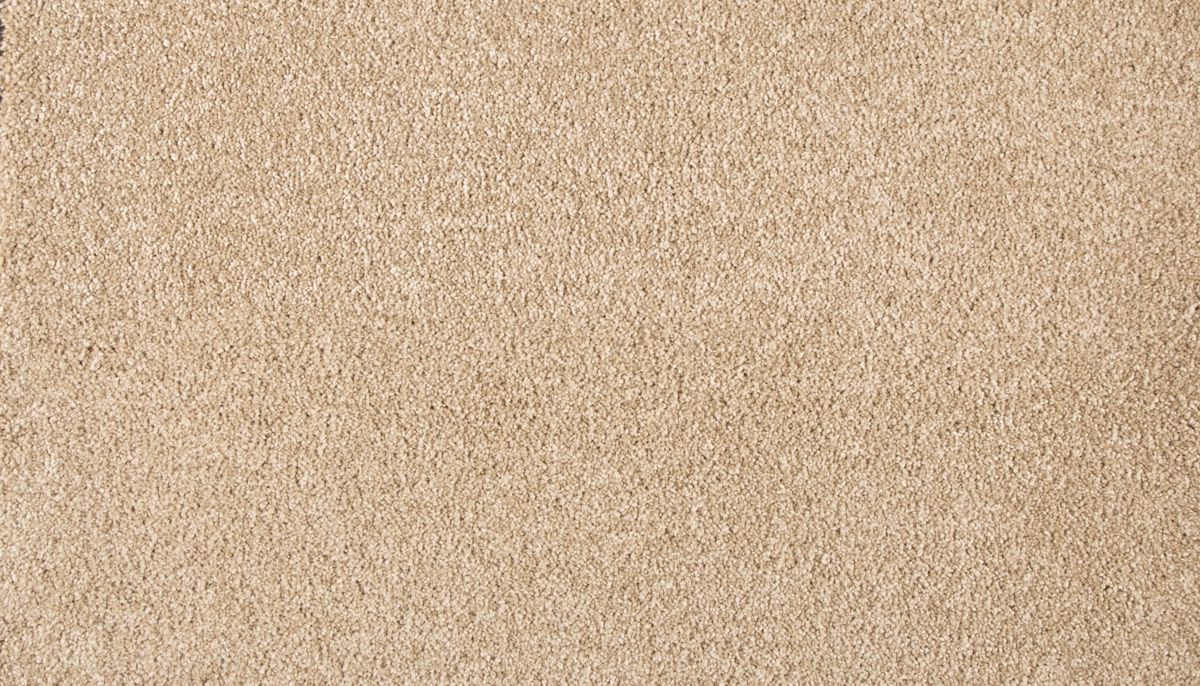 Delightful Saga III carpet in Pale Birch