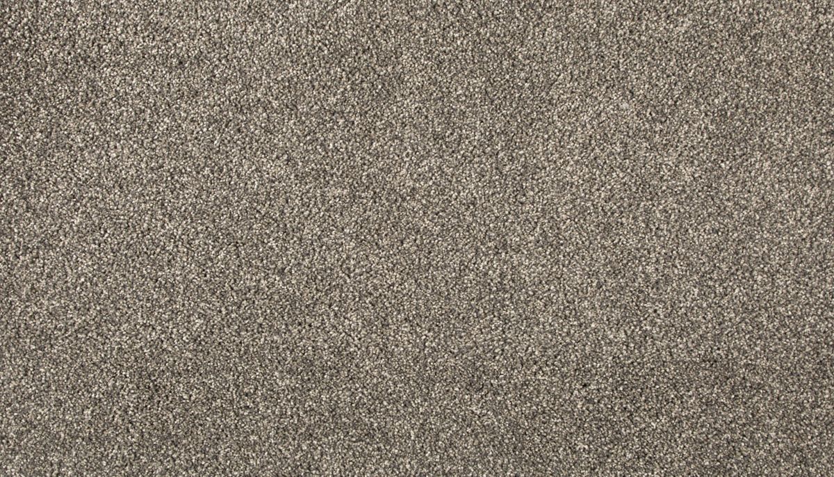 Delightful Saga III carpet in Tranquil Driftwood