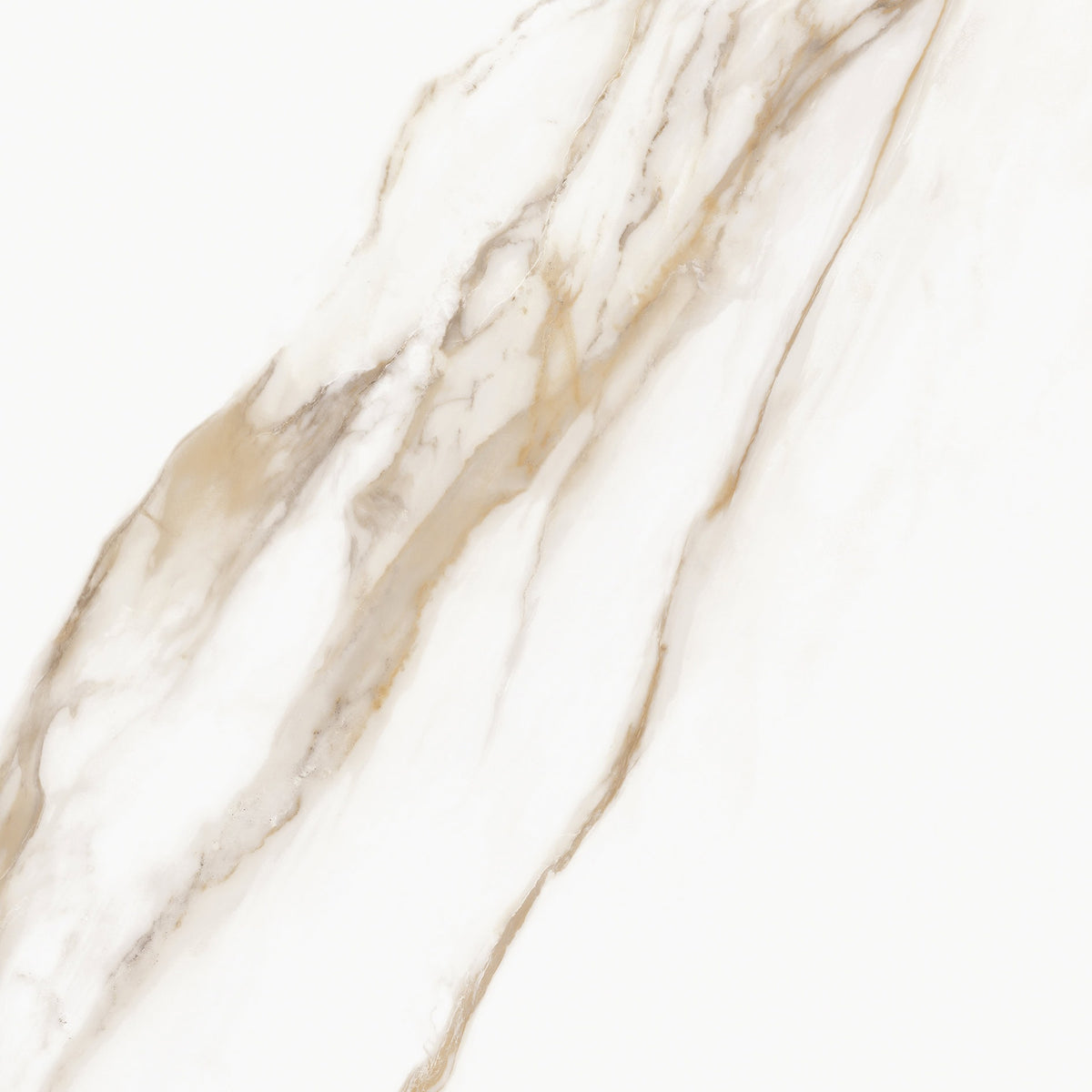 Prestigio Calacatta Oro Porcelain Tile