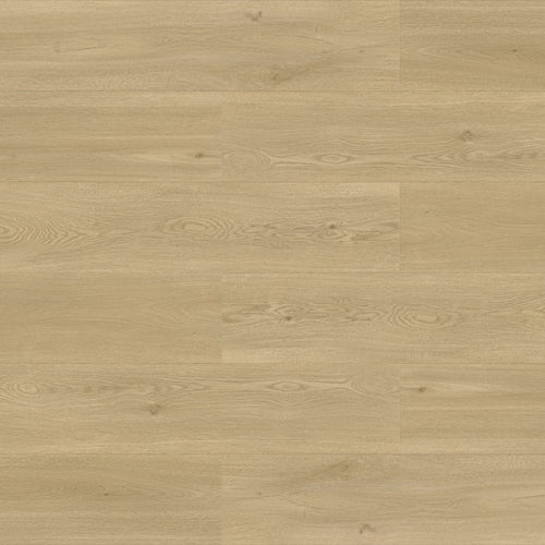 Accord Premium Biscuit waterproof laminate 7.72x48