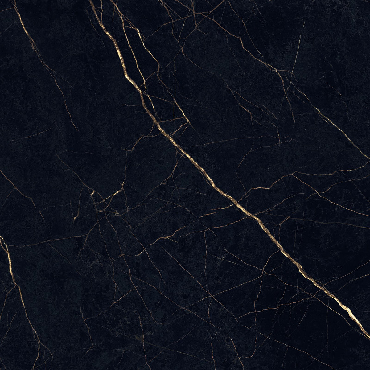 Supreme Evo Noir Laurent Polished Porcelain Tile