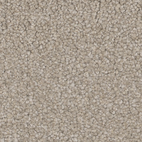 Intrigue carpet in Charm 711