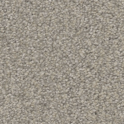 Impress carpet in Rejoice 719