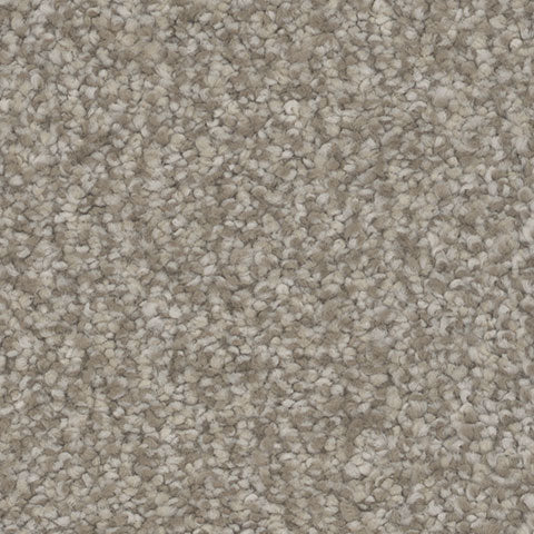Influence carpet in Delight 727