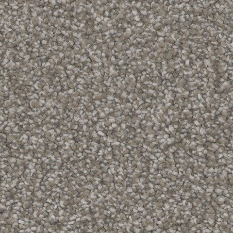 Inspire carpet in Tempt 839