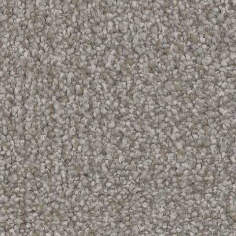 Impress carpet in Enchant 859