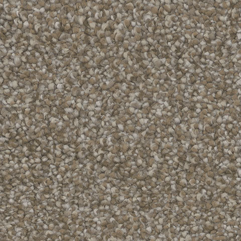 Inspire carpet in Thrill 862
