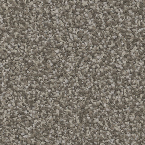 Inspire carpet in Captivate 868
