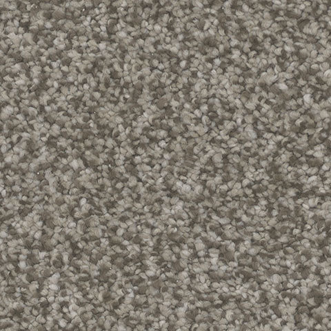 Impress carpet in Conjure 872