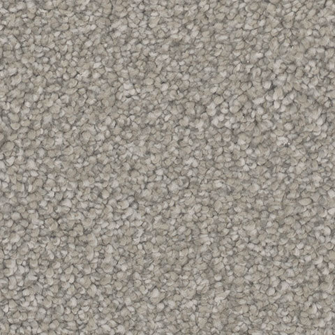 Impress carpet in Awe 927