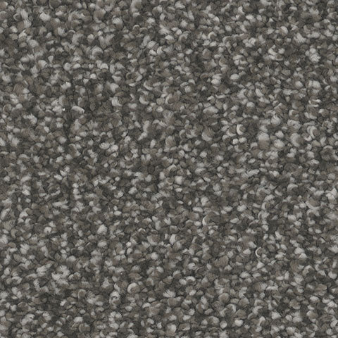 Inspire carpet in Bewitch 978