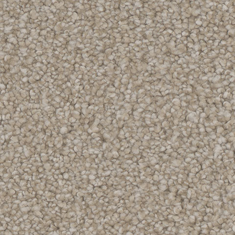 Mesmerize carpet in Gratify 131