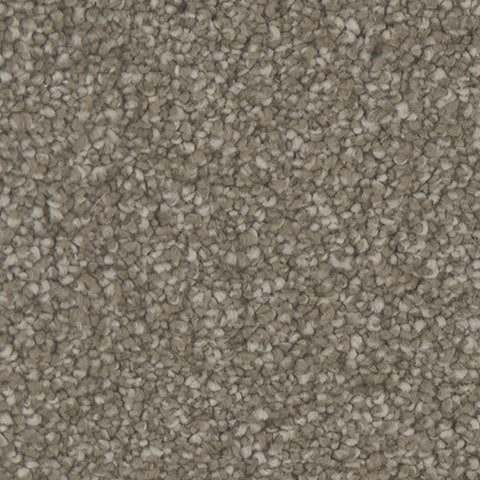 Allure carpet in Beauty 363