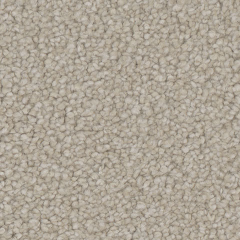 Hypnotize carpet in Dazzle 701