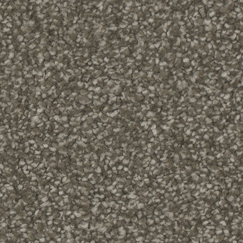 Mesmerize carpet in Inviting 721