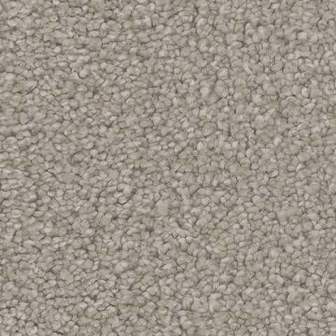 Mesmerize carpet in Charisma 729