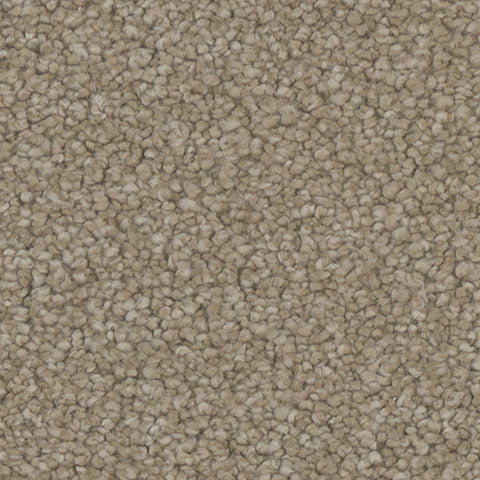 Tarkett Hypnotize PET Carpet