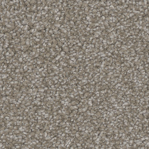 Enamour carpet in Engage 771