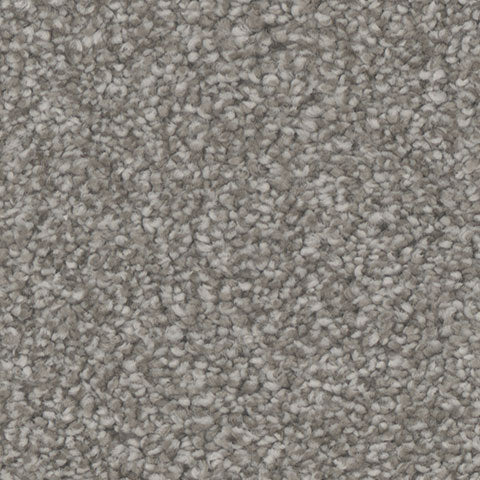 Enamour carpet in Spellbound 841