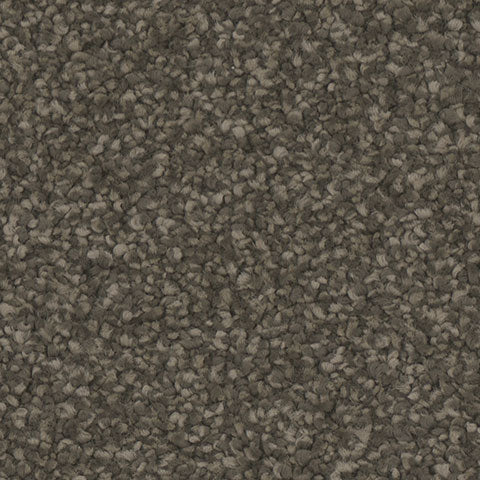 Hypnotize carpet in Ravish 858