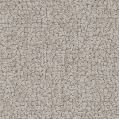 Antiquity carpet in Classical 727