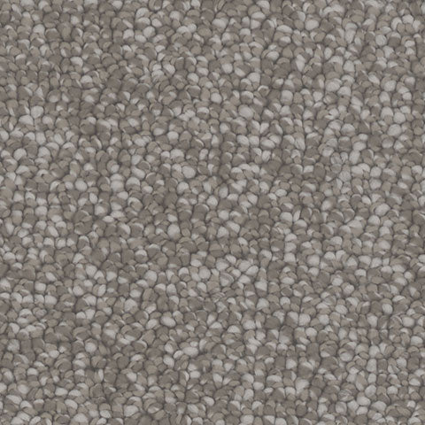 Antiquity carpet in Marseille 858