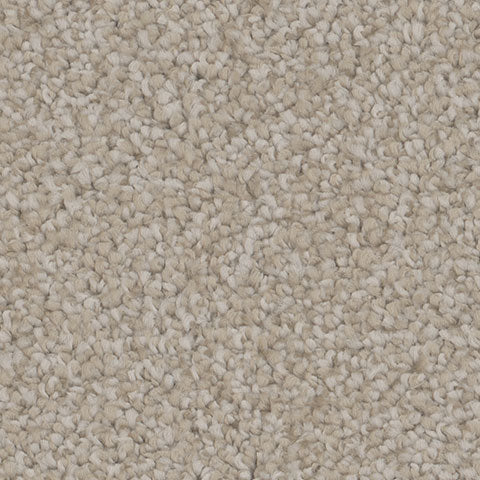 TH913 carpet in Gratify 131