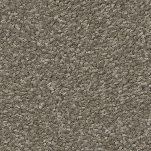 TH913 carpet in Beauty 363
