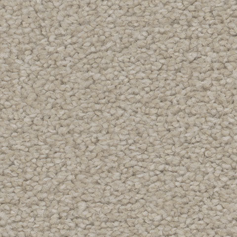 TH913 carpet in Dazzle 701