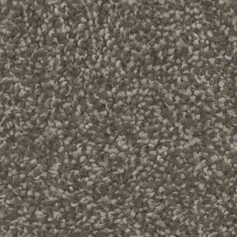 TH913 carpet in Inviting 721
