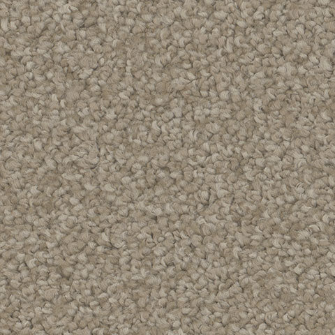 TH913 carpet in Appeal 748