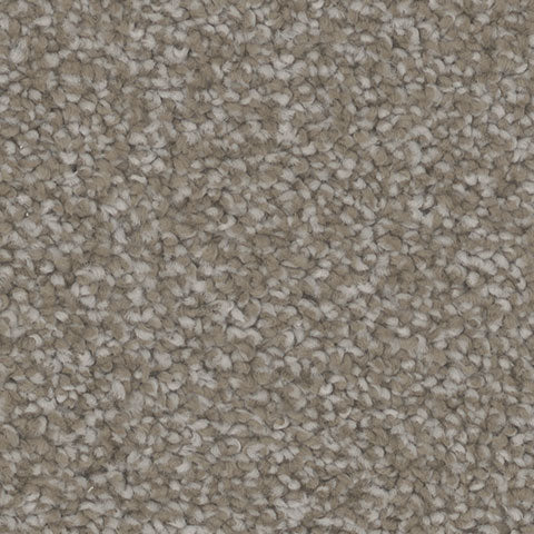 TH913 carpet in Engage 771