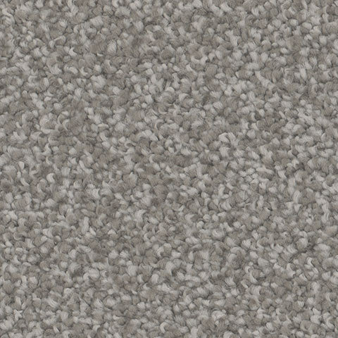 TH913 carpet in Spellbound 841