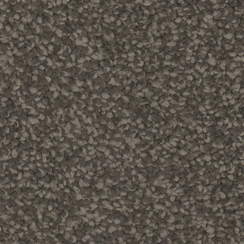 TH913 carpet in Ravish 858