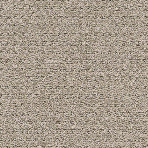 Manhattan II carpet in Thriving 746