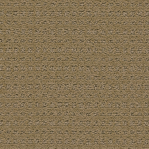 Manhattan II carpet in Rugged 823