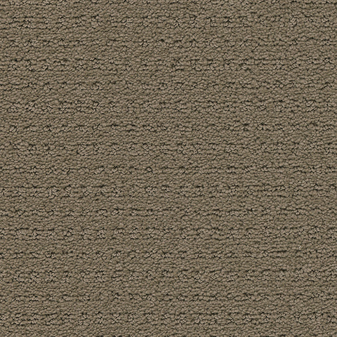 Manhattan II carpet in Untamed 844