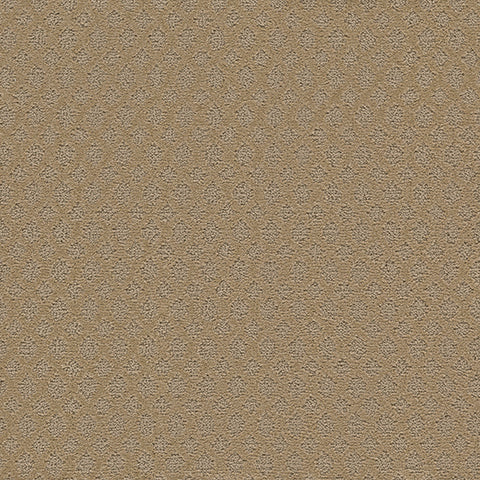 Mont Blanc II carpet in Rugged 823