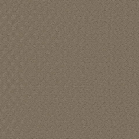 Mont Blanc II carpet in Untamed 844
