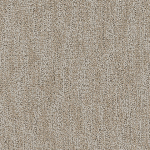 Tucson II carpet in Sizzle 718