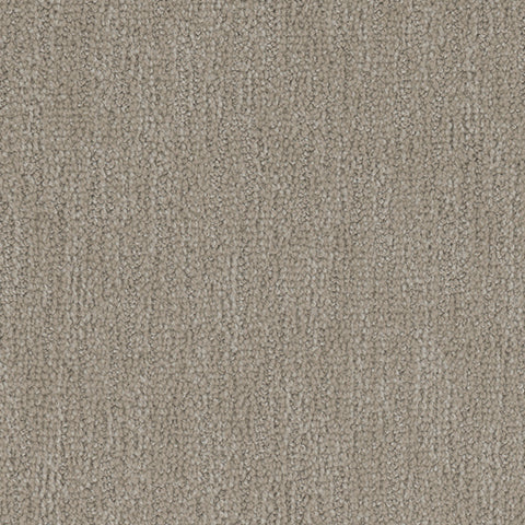 Tucson II carpet in Arid 747