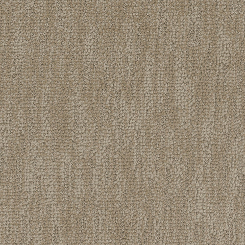 Tucson II carpet in Sundown 752