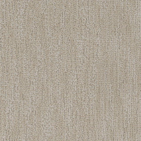 Tucson II carpet in Immense 818