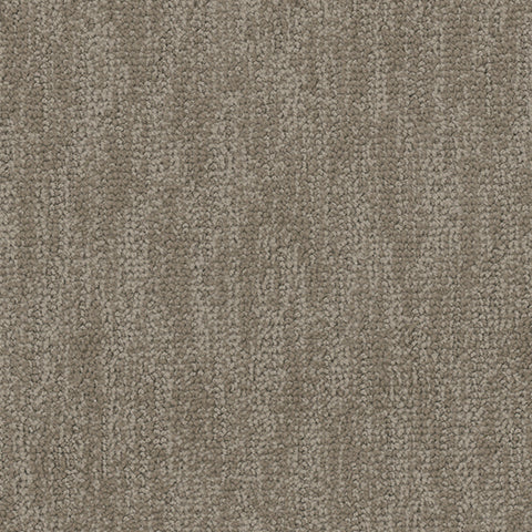 Tucson II carpet in Brazen 878