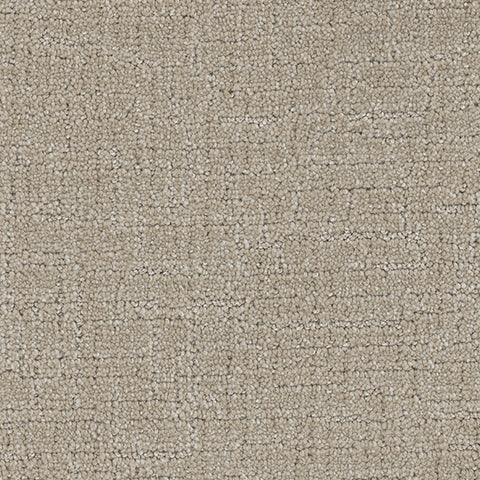 Collective carpet in Memento 738