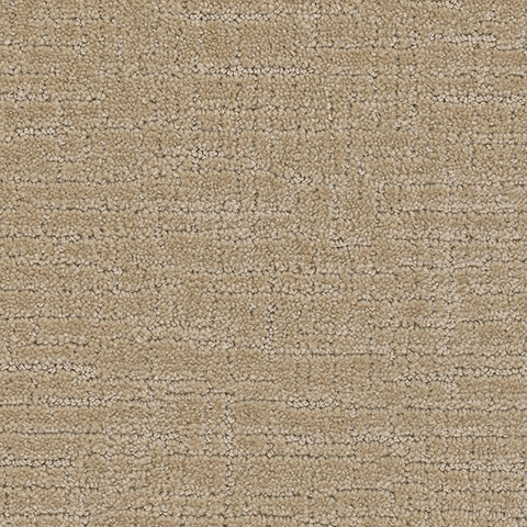 Collective carpet in Curated 821