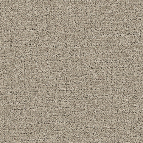 Collective carpet in Gracious 829