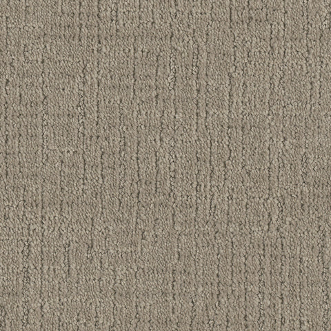 Collective carpet in Sophisticated 842